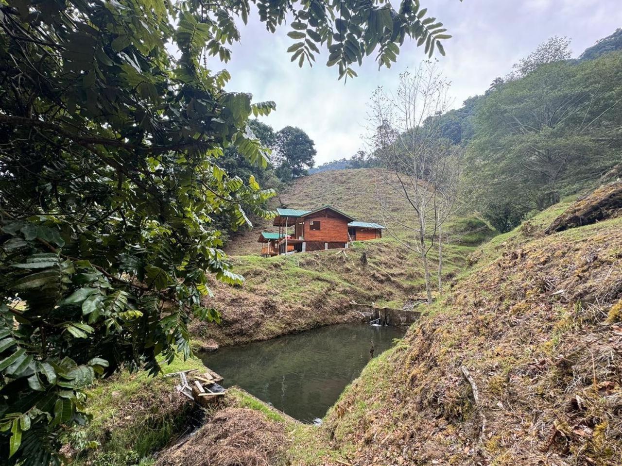 Entre Arboles Lodge San Gerardo de Dota Exterior foto