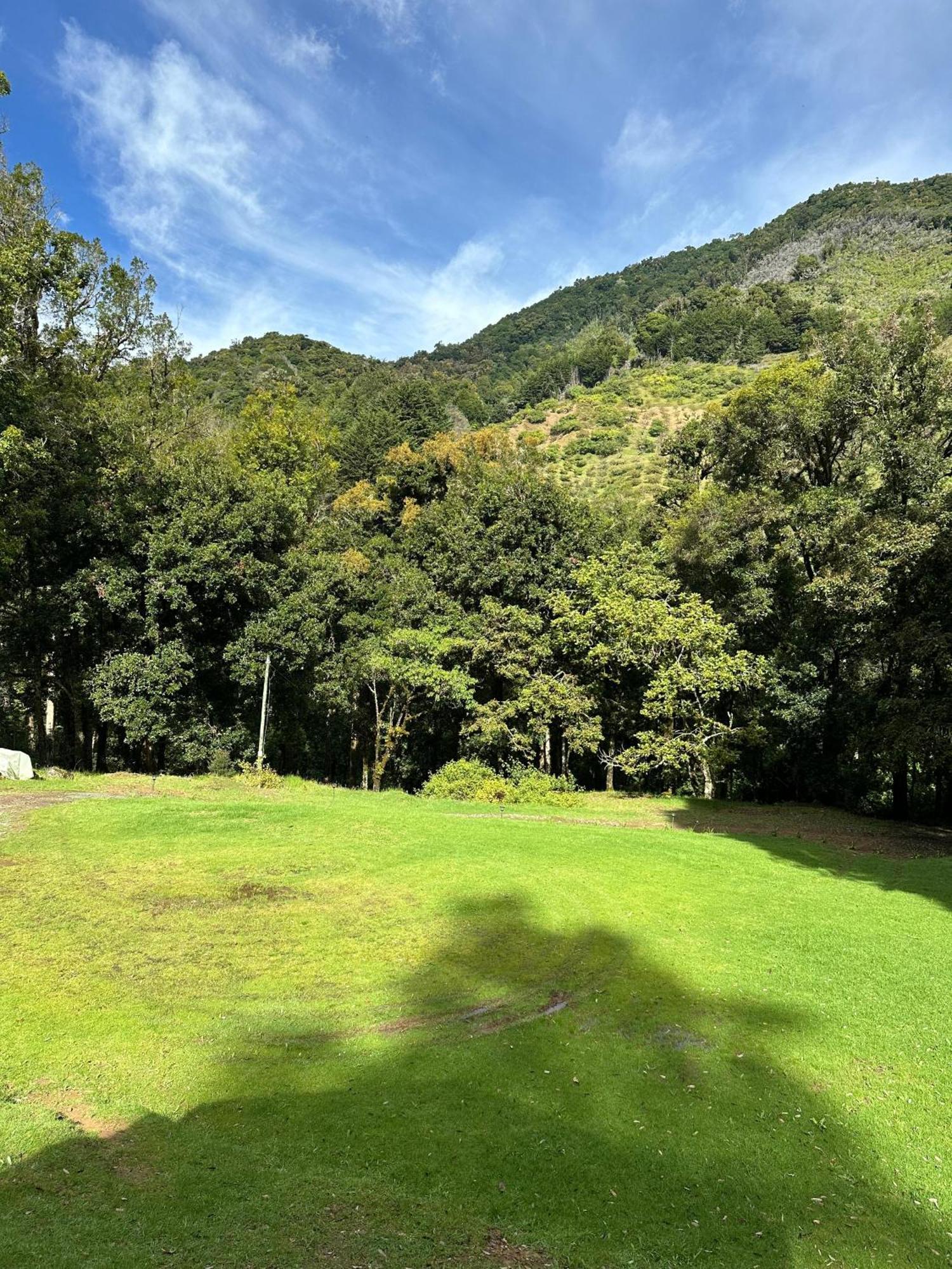 Entre Arboles Lodge San Gerardo de Dota Exterior foto