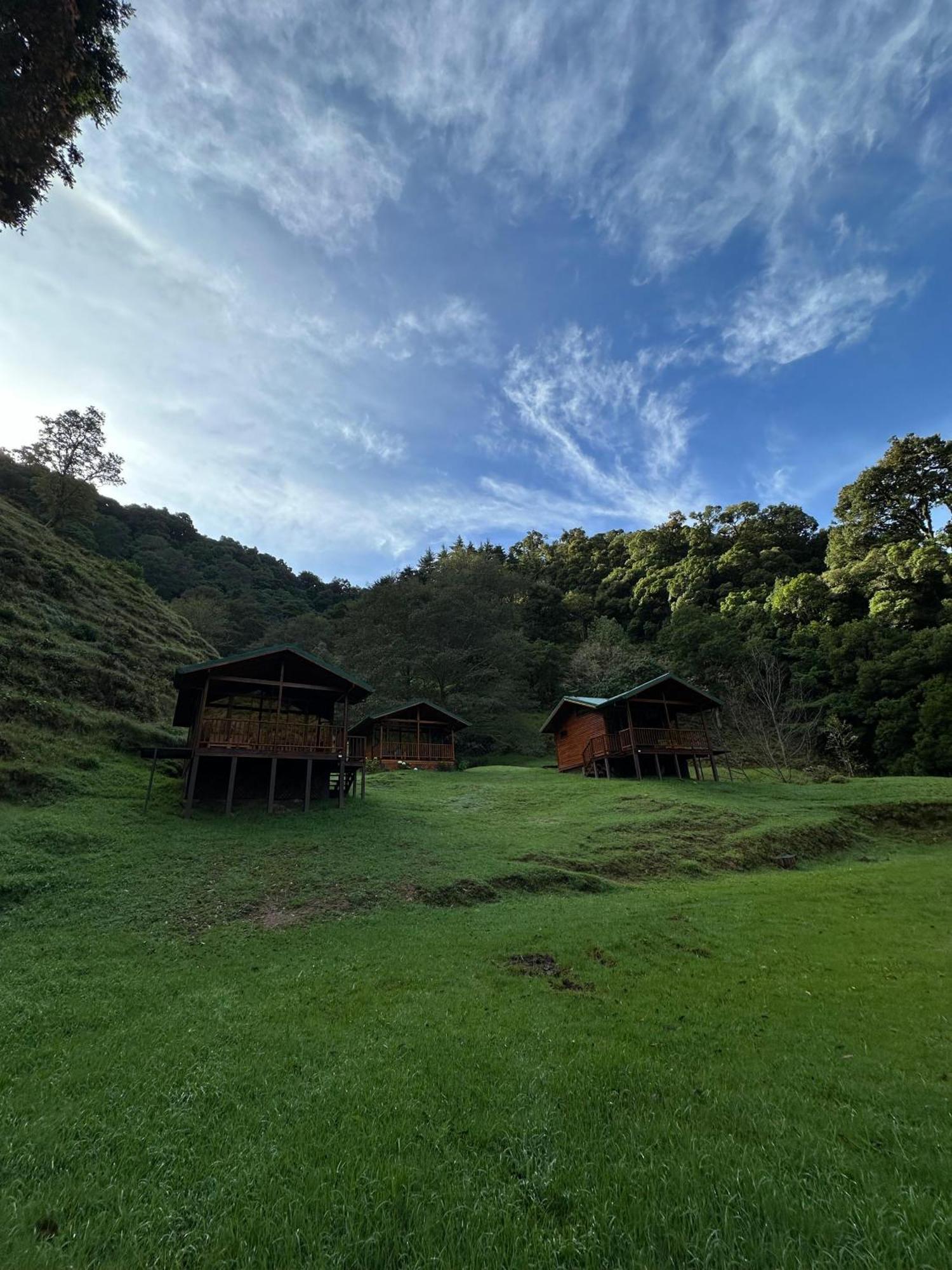 Entre Arboles Lodge San Gerardo de Dota Exterior foto