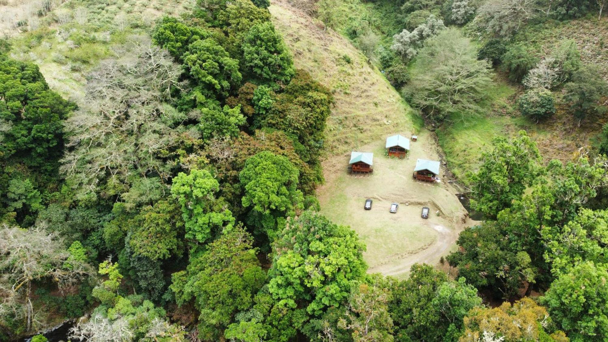 Entre Arboles Lodge San Gerardo de Dota Exterior foto