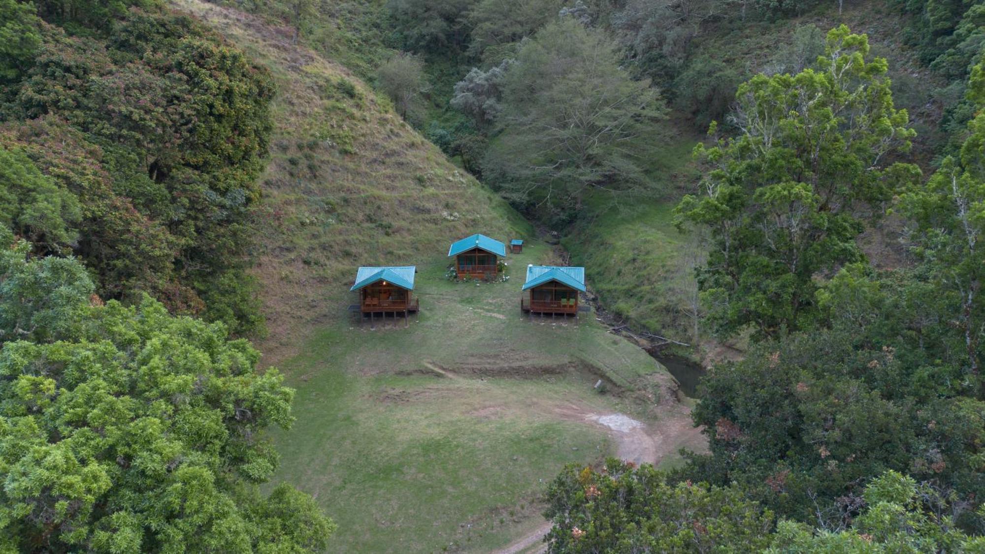 Entre Arboles Lodge San Gerardo de Dota Exterior foto