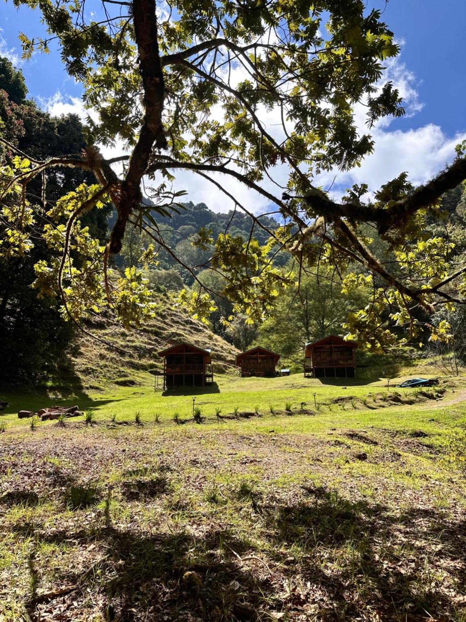 Entre Arboles Lodge San Gerardo de Dota Exterior foto