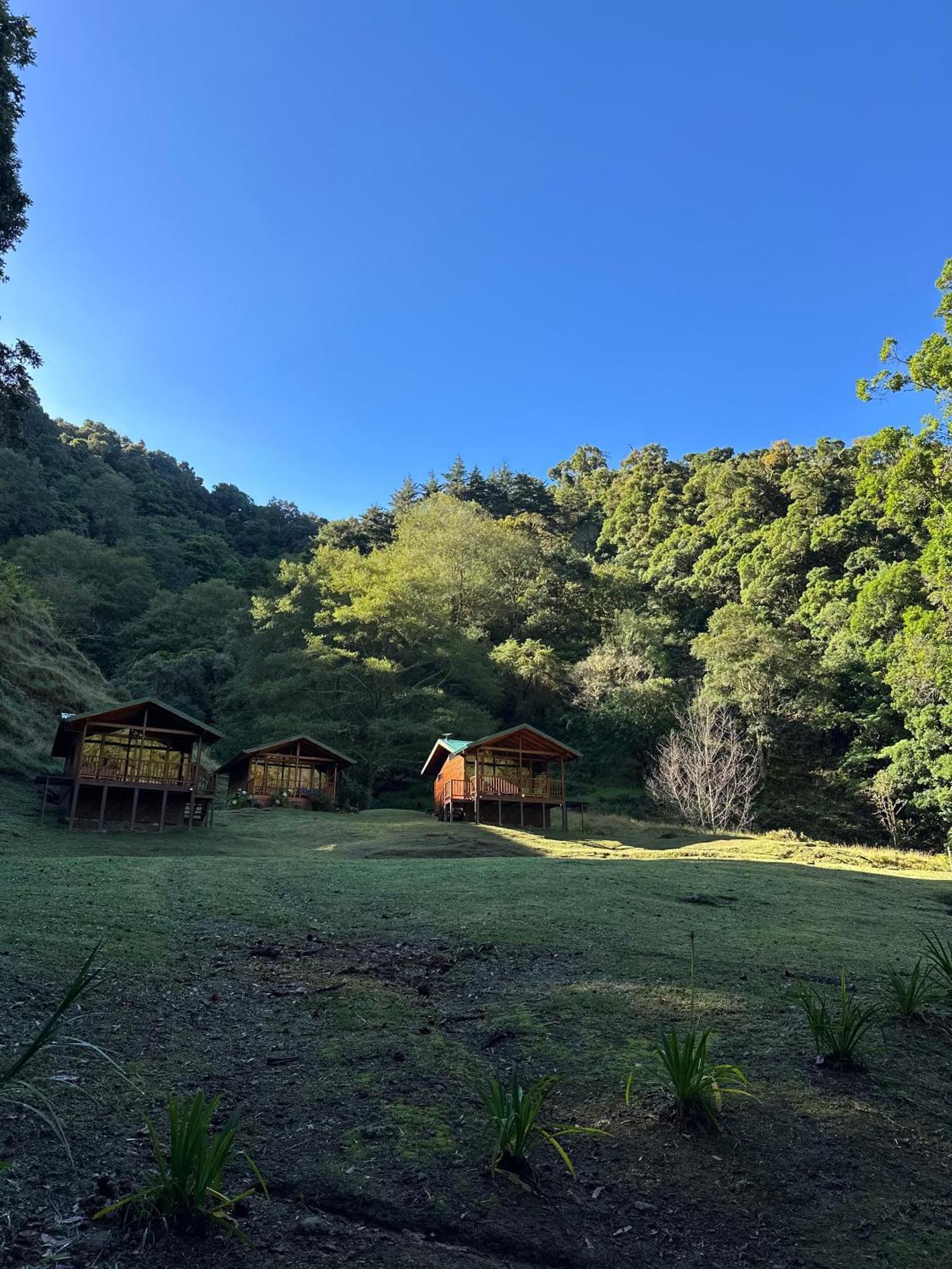 Entre Arboles Lodge San Gerardo de Dota Exterior foto